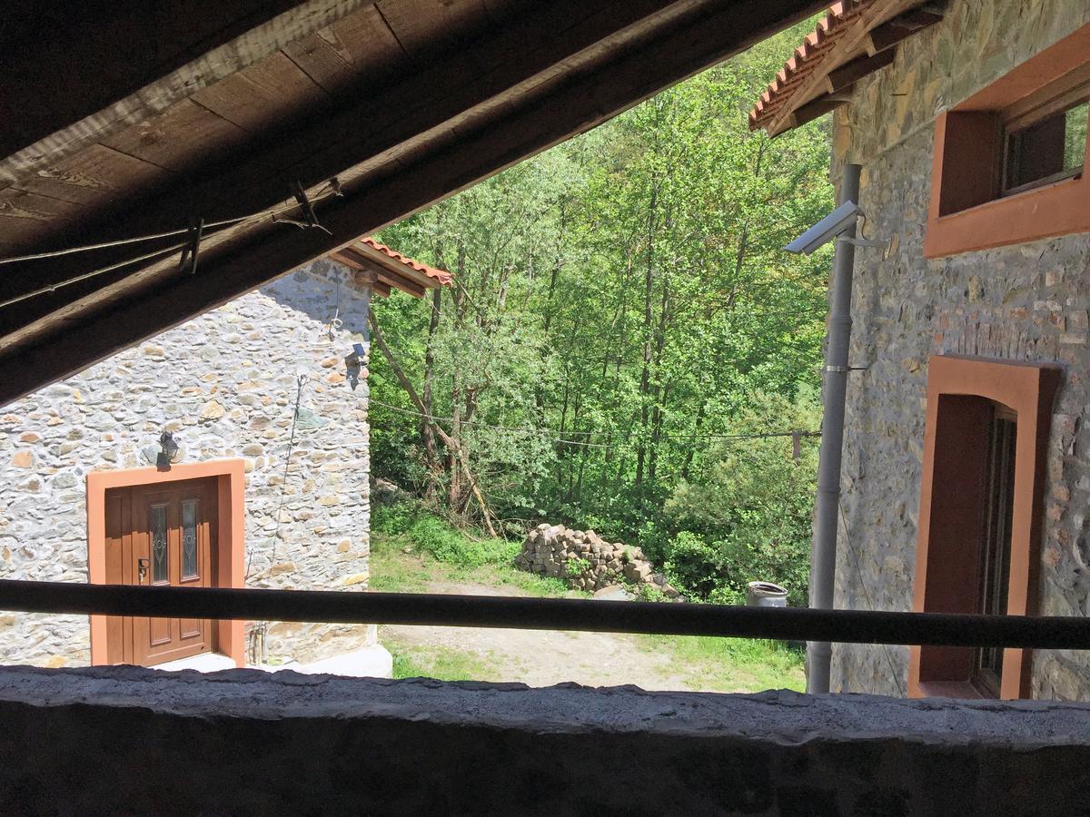 Giusvalla Forest Village Dego Rum bild