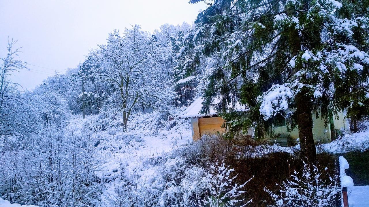 Giusvalla Forest Village Dego Exteriör bild